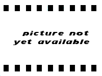 Options Engines - Engine Library